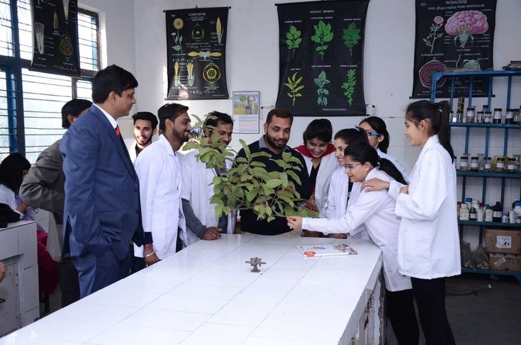 Msc Sustainable Agriculture and Food Security